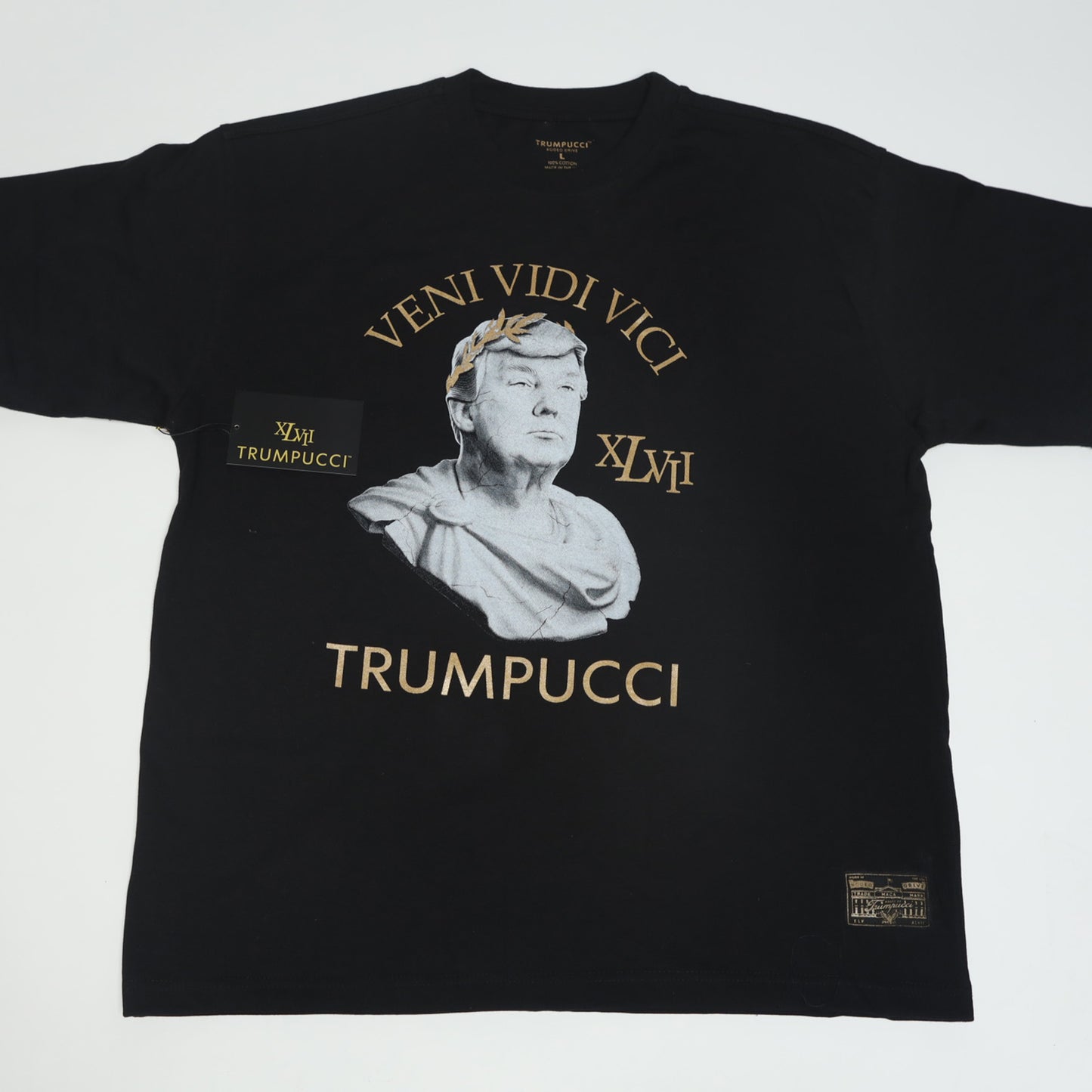 Veni Vidi Vici T-Shirt